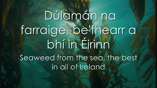Dúlamán - LYRICS + Translation - Celtic Woman