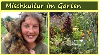 Mischkultur 🌱🌷🍀 Pflanzengesundheit │ Permakultur │Garten