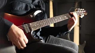 Joe Satriani - Always With Me, Always With You ( Guitar Cover By Marc Favreau )