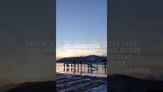 Suspended Animation || Tahoe Lore