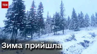 ❄️ Рясний сніг і 6 градусів морозу! До України увірвалась зима
