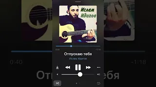 Душевная песня «Отпускаю тебя» ( на гитаре.)