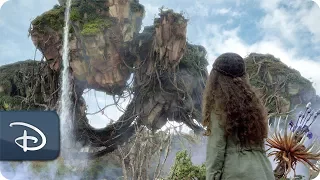 Pandora - The World of Avatar | Disney's Animal Kingdom
