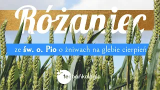 Różaniec Teobańkologia ze św. o. Pio o żniwach na glebie cierpień 5.08 Piątek