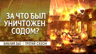 #245 За что был уничтожен Содом? - Алексей Осокин - Библия 365 (3 сезон)