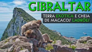 CONHEÇA GIBRALTAR: TERRITÓRIO BRITÂNICO AO LADO DA ESPANHA CHEIO DE MACACOS E COM AEROPORTO INSANO