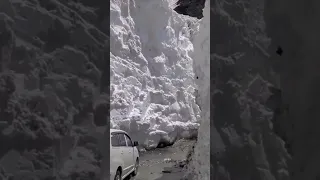 15ft Snow Walls at Sach pass 2024 ,Most dangerous pass of India #sachpass #viral #shorts #india