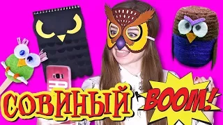 DIY Снова в школу / Кавайные совушки / Канцелярия своими руками 🐞 Afinka