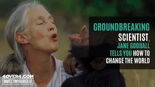 Jane Goodall: How Motivation Drove Her to Groundbreaking Discoveries