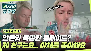 안톤의 특별한 룸메이트는 달팽이?! 드라마 같은 안톤과 웨스 앤더슨의 동거 스토리📖 l #어서와정주행​ l #MBCevery1 l EP.147-2