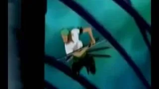 The Only exception - A Zoro and Nami Video