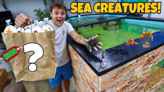 Buying SEA CREATURES for My SALTWATER POND!!