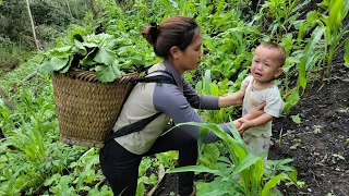 Harvesting green vegetables for sale - cooking nutritious porridge for babies - daily life