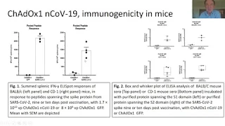 Professor Adrian Hill: A rapid vaccine response to COVID-19: progress and prospects