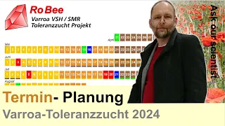 RoBee Königinnen Zuchtplan 2024 - Varroa Toleranz Zucht