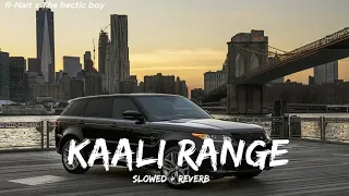 Kaali Range (Slowed + Reverb) - R Nait Ft Gurlej Akhtar | Preet Hundal | @thehecticboyofficial