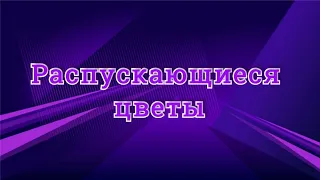 Распускающиеся цветы - на ускорение