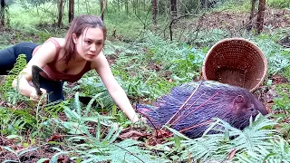 Dangerous when picking medicine in the forest - Catching porcupines by hand | Ngân Daily Life