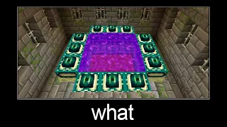 Minecraft wait what meme part 24