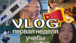 VLOG первая неделя учебы первокурсника в Китае🇨🇳