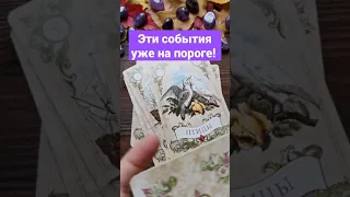 Эти события уже на пороге! Мини расклад таро Расклад таро♥️ онлайн гадание♣️ знаки судьбы🔮