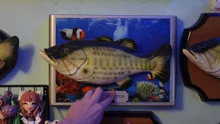 Starry Fish (New Camera Test)