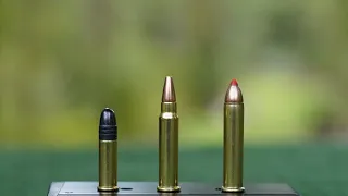 22LR VS 22WMR VS 17HMR // SAKO QUAD RIMFIRE