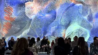 Monet's garden, the immersive presentation of art and the half-life of hypes