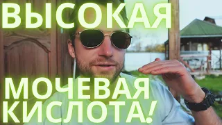 ПОДАГРА ОТ МЯСА И ПУРИНОВ В НЕМ! ЧТО ТОГДА ЕСТЬ?!