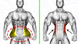 Don’t Miss These 8 Perfect Oblique Exercises