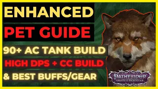 PF: WOTR ENHANCED - PET GUIDE: BEST PETS, 90+ AC TANK & DPS/CC BUILDS, Best BUFFS & GEAR