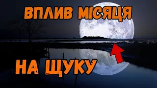 Як впливає фаза місяця на клювання щуки? Шокуючі данні. Після цього ви будете ловити більше.