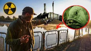 Выловил мутанта из реки Припять возле ЧАЭС. Что будет если жить в Чернобыле?