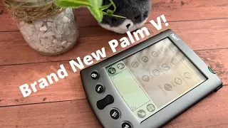 Unboxing a New Palm V in 2022 - Factory Sealed for Over 20 Years!