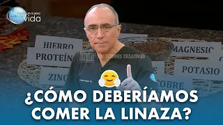 ¿Cómo deberíamos comer la linaza 🤗?