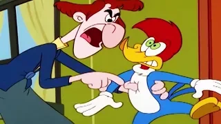 Woody Woodpecker Show | Eanie Meany Out You Go | Full Episode | Videos For Kids