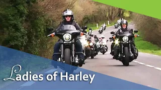 The Ladies of Harley.