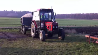 Zetor 7711 turbo + 2 przyczepy wysłodków.  cz.II