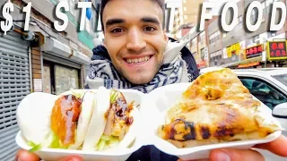 Living on $1 Street Food Around The World! (Ep. 1 / NYC)