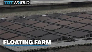 Family builds floating farm to reduce agricultural emissions