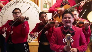 Mariachi Mixteco in Concert