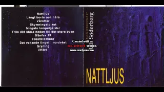 Ulf Söderberg - Nattljus