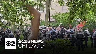Chicago Police arrest dozens of pro-Palestinian protesters outside Art Institute