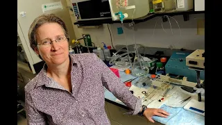 Scientist Stories: Rachel Green, Regulation of Protein Synthesis