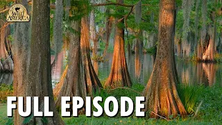 Wild America | S8 E3 'In the Forest' | Full Episode | FANGS