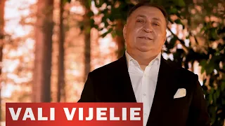 Vali Vijelie ❌ Cornel Cojocaru - Cu viata mea la o cafea (Hituri Melodii Noi) 2024