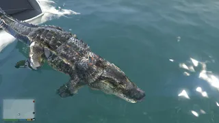 GTA 5 Crocodile