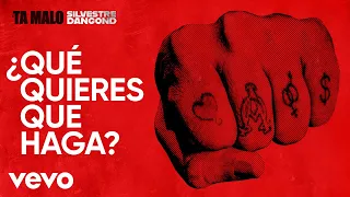 Silvestre Dangond - ¿QUÉ QUIERES QUE HAGA? (Official Lyric Video)