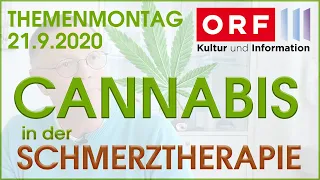 Cannabis als Medizin bei chronischen Schmerzen -  21.9.2020 ORF3