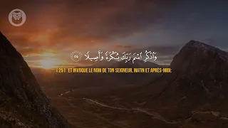 ❤️ 😍 Anas Mohamed  (انس محمد) | Sourate Al Insan (سورة الإنسان) 😍 ❤️